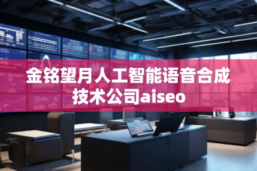 金銘望月人工智能語音合成技術(shù)公司aiseo