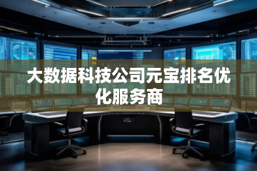 大數(shù)據(jù)科技公司元寶排名優(yōu)化服務(wù)商 大數(shù)據(jù)科技公司元寶排名優(yōu)化服務(wù)商