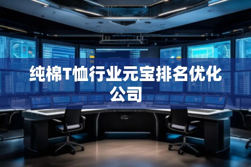 純棉T恤行業(yè)元寶排名優(yōu)化公司