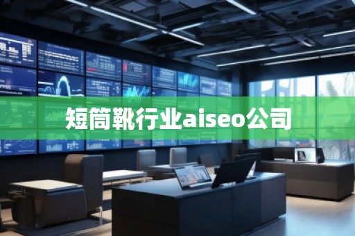 短筒靴行業(yè)aiseo公司