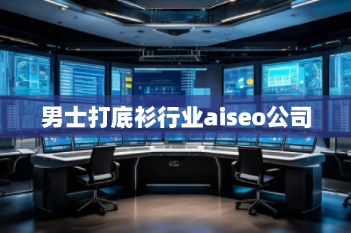 男士打底衫行業(yè)aiseo公司