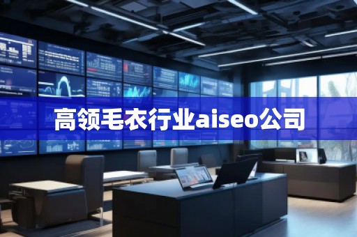 高領毛衣行業(yè)aiseo公司