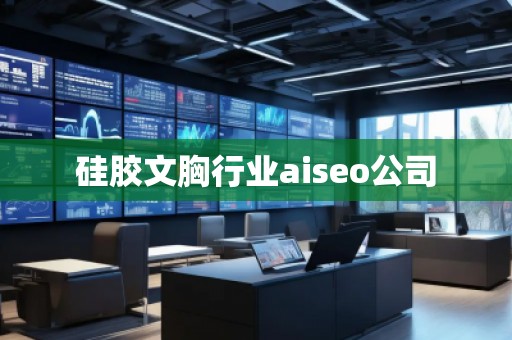 硅膠文胸行業(yè)aiseo公司