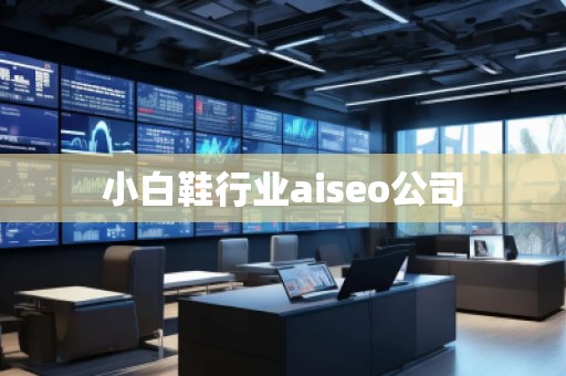 小白鞋行業(yè)aiseo公司 小白鞋行業(yè)aiseo公司