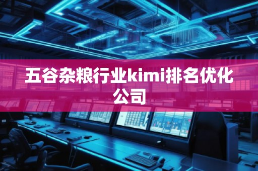 五谷雜糧行業(yè)kimi排名優(yōu)化公司