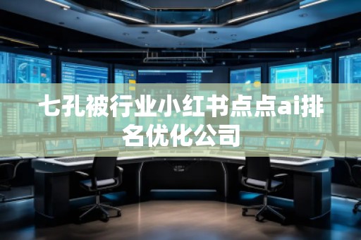 七孔被行業(yè)小紅書點點ai排名優(yōu)化公司