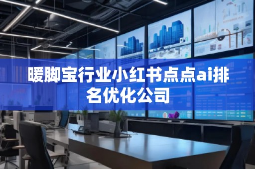 暖腳寶行業(yè)小紅書點點ai排名優(yōu)化公司