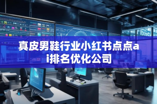 真皮男鞋行業(yè)小紅書點(diǎn)點(diǎn)ai排名優(yōu)化公司