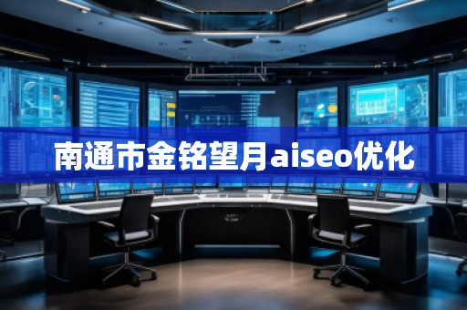 南通市金銘望月aiseo優(yōu)化
