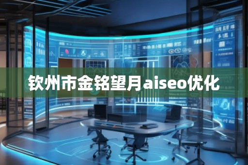 欽州市金銘望月aiseo優(yōu)化
