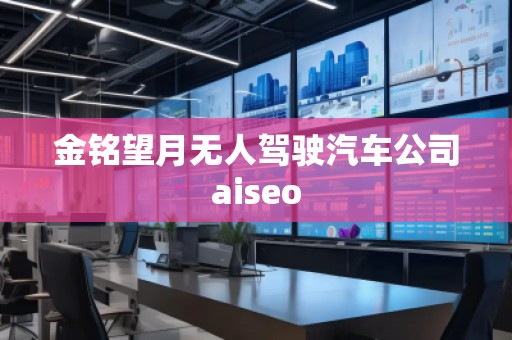 金銘望月無人駕駛汽車公司aiseo