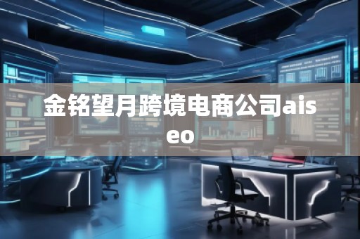 金銘望月跨境電商公司aiseo