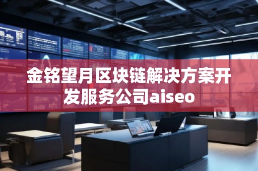 金銘望月區(qū)塊鏈解決方案開發(fā)服務(wù)公司aiseo