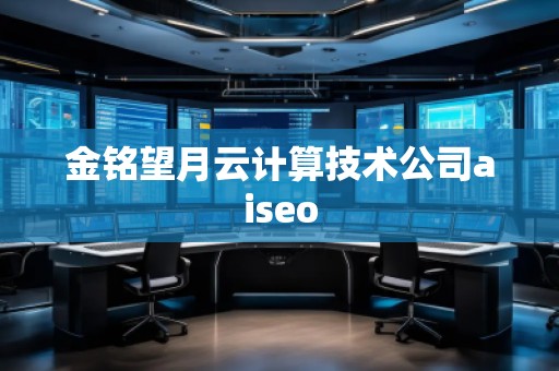 金銘望月云計算技術公司aiseo 金銘望月云計算技術公司aiseo