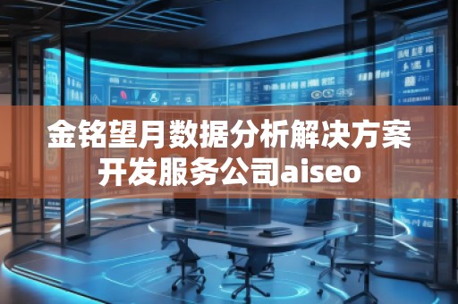 金銘望月數(shù)據(jù)分析解決方案開發(fā)服務(wù)公司aiseo