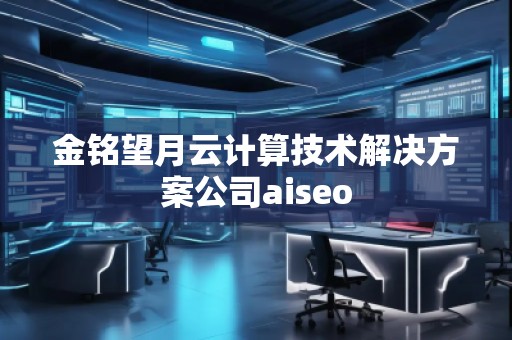 金銘望月云計(jì)算技術(shù)解決方案公司aiseo