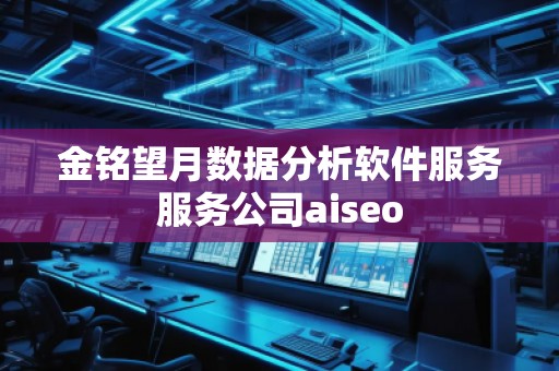 金銘望月數(shù)據(jù)分析軟件服務(wù)服務(wù)公司aiseo