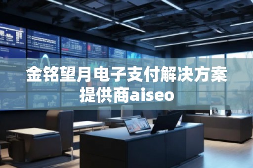 金銘望月電子支付解決方案提供商aiseo
