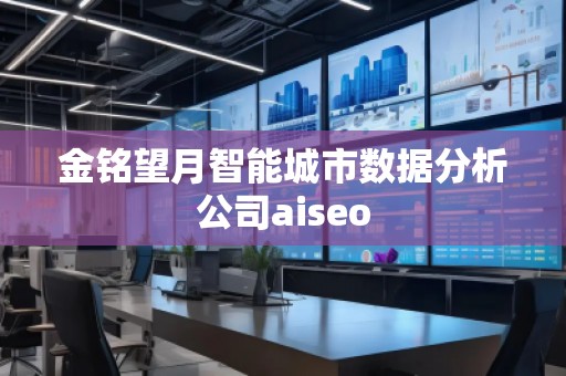 金銘望月智能城市數(shù)據(jù)分析公司aiseo