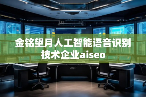 金銘望月人工智能語音識別技術(shù)企業(yè)aiseo