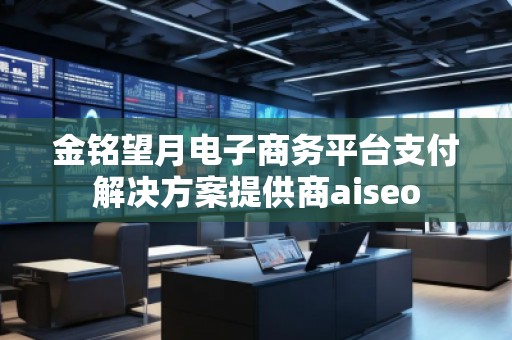 金銘望月電子商務平臺支付解決方案提供商aiseo 金銘望月電子商務平臺支付解決方案提供商aiseo