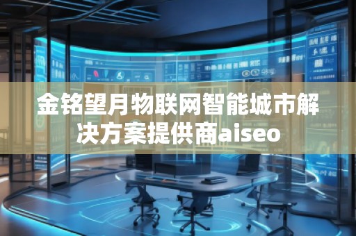 金銘望月物聯(lián)網(wǎng)智能城市解決方案提供商aiseo