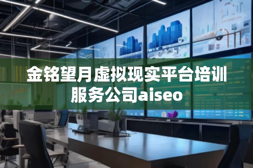 金銘望月虛擬現(xiàn)實平臺培訓服務公司aiseo