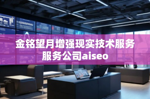 金銘望月增強現(xiàn)實技術(shù)服務(wù)服務(wù)公司aiseo