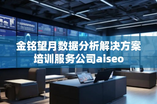 金銘望月數(shù)據(jù)分析解決方案培訓服務公司aiseo