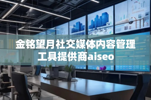 金銘望月社交媒體內(nèi)容管理工具提供商aiseo